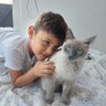 Alonso's profile picture