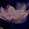 Фото профиля Ben Yoga King