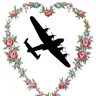 A1 Candy Bomber 🐦 profil fotoğrafı
