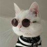 miaw profil fotoğrafı
