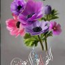 Фото профиля نضال العبيدي