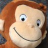 Profilbild von ぽてと