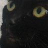 Blac Cat profil fotoğrafı