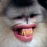 SBF’s Highschool Bully's profile picture