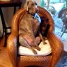 WiseWeim's profile picture
