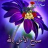 الزير سالم 的头像
