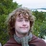 Dr. Pippin's profile picture