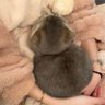 AlaaAhmed 💕🐈⬛ 的头像