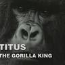Фото профиля Titus the Gorilla