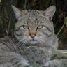 Benutzername🐈‍⬛ profil fotoğrafı
