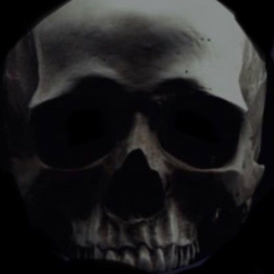 PhoneixReloaded's profile picture