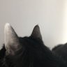 huhu profil fotoğrafı