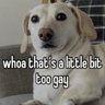 random 的头像