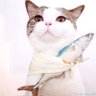 gogo's profile picture