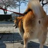 枝豆空豆 profil fotoğrafı