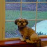 OdieBaby's profile picture