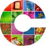 Фото профиля Chris Drake