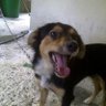 Фото профиля José Esteban Nina