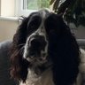 Profilbild von Woody Woodrough