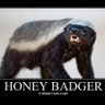 Фото профиля WolfTiger Aka Honey Badger