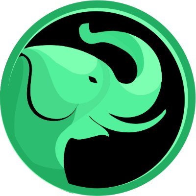egorasHQ's profile picture