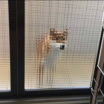 tAnZp7's profile picture