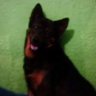 Profilbild von Mauricio millan
