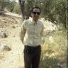Rashidimohammad1364's profile picture