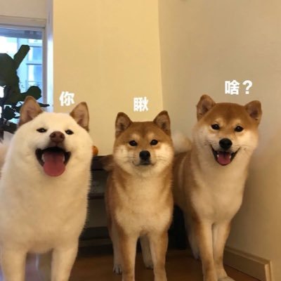 常州商k娱乐阿鹏 真空情趣场's profile picture