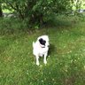 Graham profil fotoğrafı