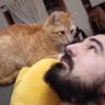 pedro's profile picture