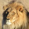 Profilbild von LionofJudah840