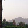 Hamad al Sgoor's profile picture