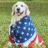 Фото профиля loveofcountry