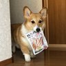 リサイクル大好き 的头像