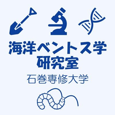 石巻専修大学 ベントス研's profile picture