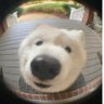 Iknohh profil fotoğrafı