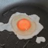 くちばし profil fotoğrafı