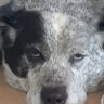 Profilbild von Sandy Beach
