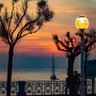 Virsnsn♥️💛❤️ profil fotoğrafı