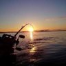 Fishfinder's profile picture