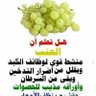 adel ali's profile picture