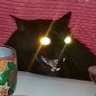 Profilbild von Natalia