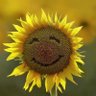 Фото профиля Frances Underwood