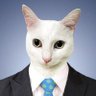 Carlos Abarca's profile picture