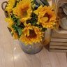 Helianthus 的头像