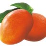 Mangolorious's profile picture