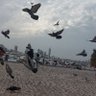 ابو سعود 的头像