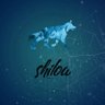 白狼【愛国者】's profile picture