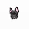 NorthCalFrenchies 🐶 的头像
